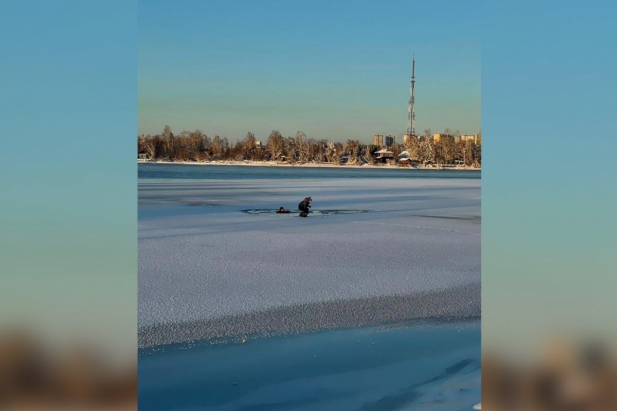 Веткой и советом. Очевидцы помогли провалившимся под лед детям в Иркутске
