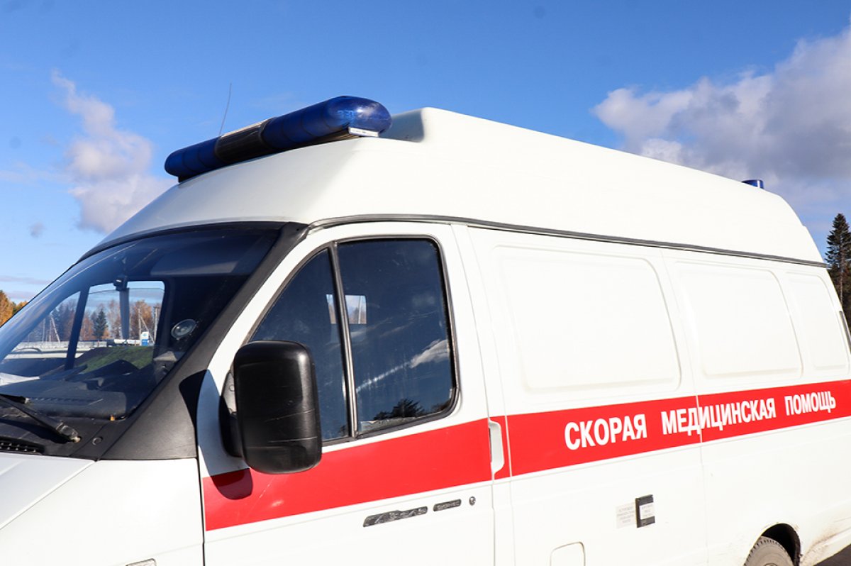 Пять человек погибли в ДТП с автобусом на трассе под Кемерово