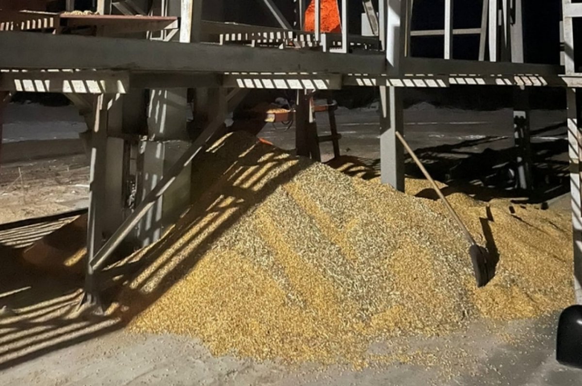 На Тамбовщине двое рабочих погибли, засыпанные семенами кукурузы