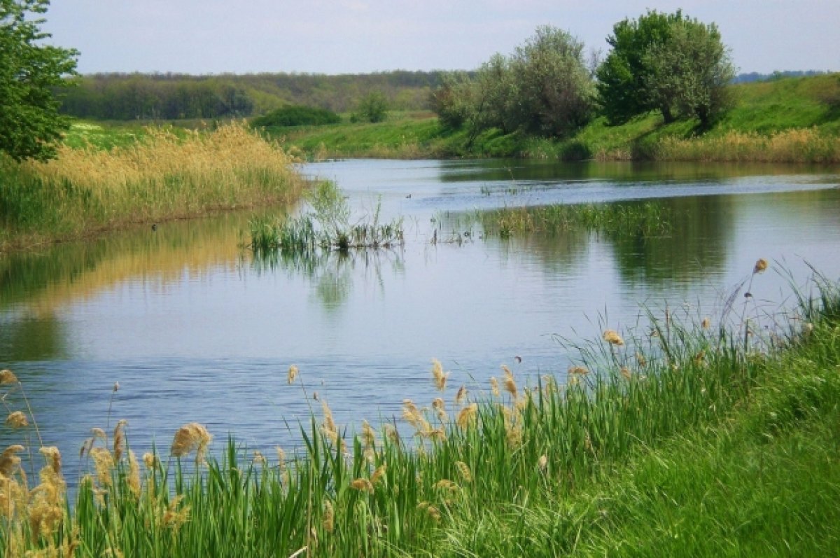 Росприроднадзор хочет наказать «Ростовводоканал» за загрязнение реки Дон