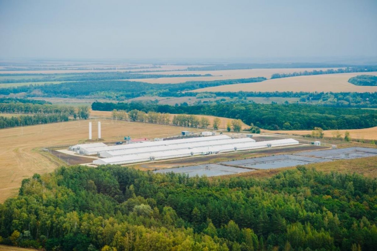 Мираторг курск. Мираторг завод в Курской области. Свинокомплекс Мираторг Курская область. Мираторг свинокомплексы Белгородской области. Мираторг Курск свинокомплекс.