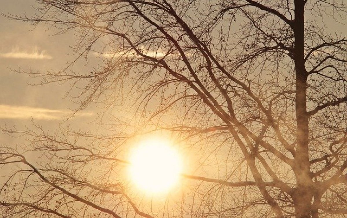 В Ростове 18 января будет тепло и сухо