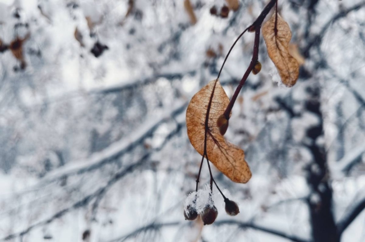Лютые морозы до -55 ожидают в Иркутской области 19-24 января