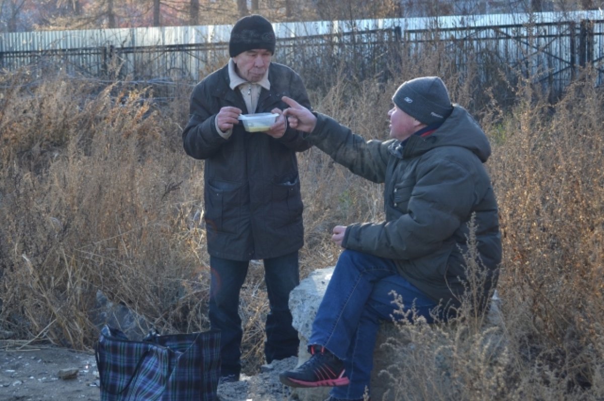 Помощь нужна всем: жительница Томска стала волонтером «Накорми бездомного»  | АиФ Томск