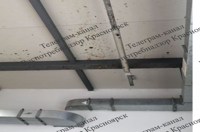 Специалисты Роспотребнадзора обнаружили на потолке куски мяса и фарша.