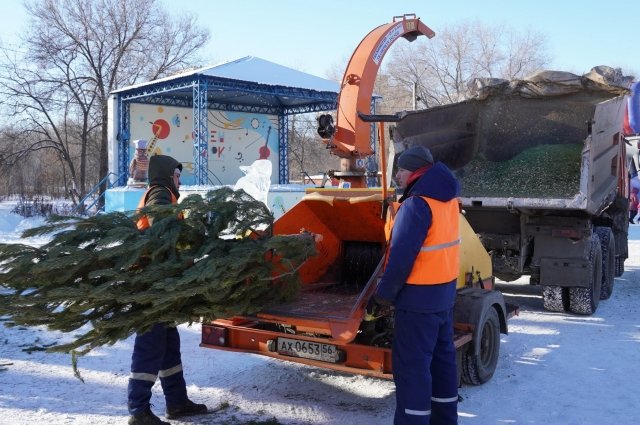 В Оренбурге разбирают новогодние ели