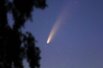 NEOWISE. Ретроградная комета с почти параболической орбитой. По мнению специалистов, являлась самой яркой за последние 25 лет. 2020 г.
