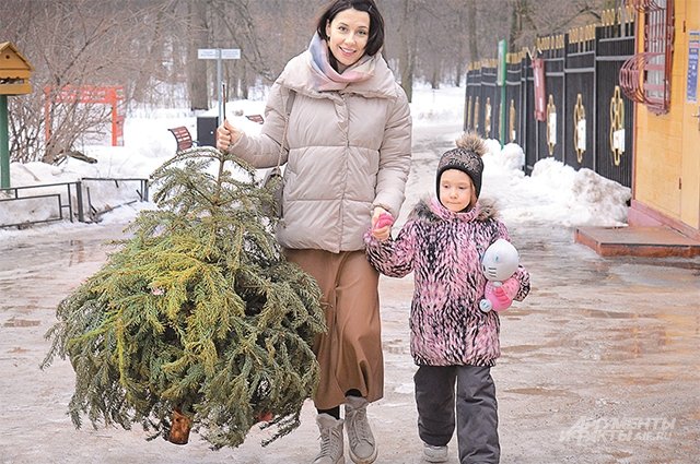 В январе москвичи отдали 14 тыс. хвойных деревьев на переработку.