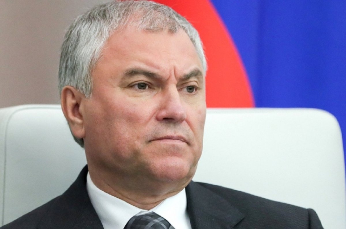 Володин предложил обязать депутатов Госдумы уведомлять о выезде за границу