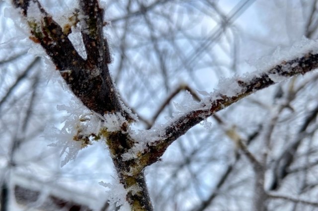 В Оренбуржье ожидается комфортная зимняя погода
