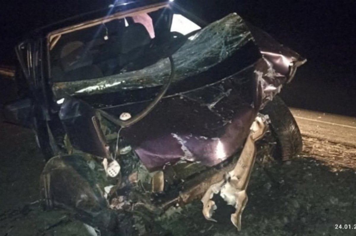 На брянской трассе пьяный водитель ВАЗа сбил дикое животное