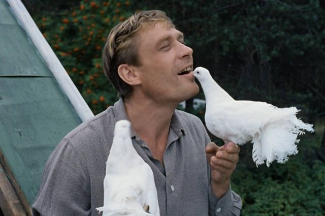 Кадр из фильма "Любовь и голуби".