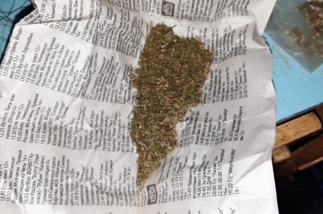 Нашел «траву» в подъезде: В Оренбуржье военнослужащий ответит за употребление растительных наркотиков.