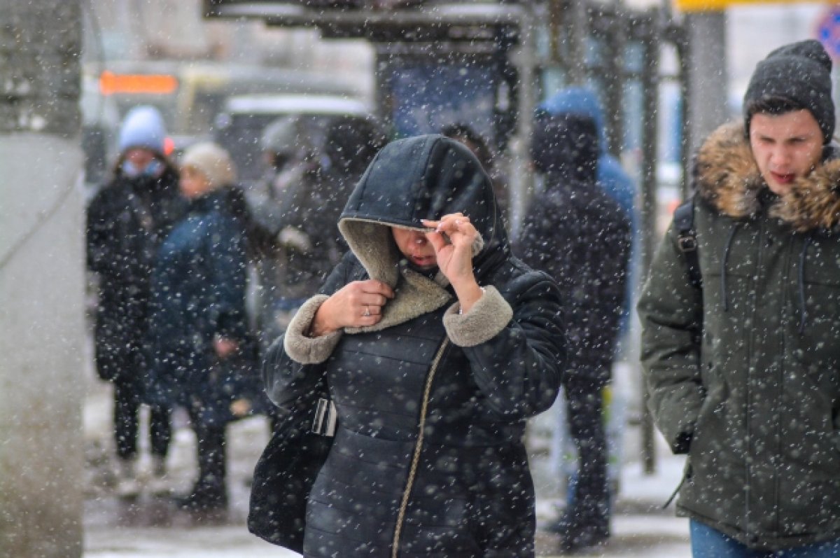 В первый день февраля на Брянщине ожидаются небольшой снег и гололедица