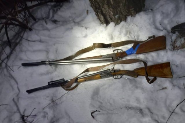 В Бузулукском бору два браконьера сбежали, бросив ружья.