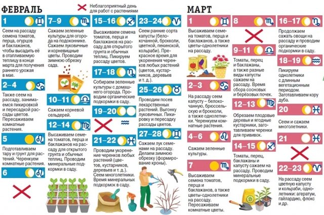 Лунный календарь садовода и огородника на 2023 год. Инфографика | Календарь  | Дача | Аргументы и Факты
