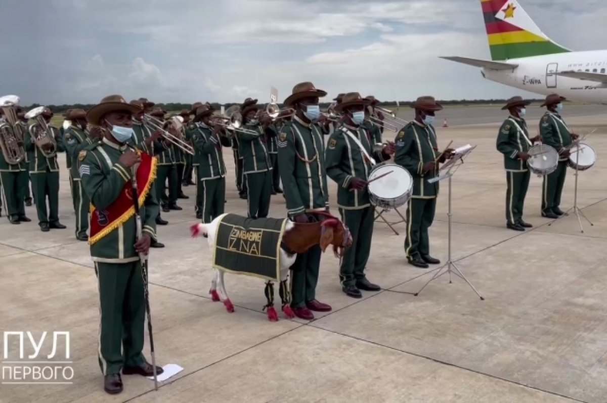 Лукашенко в Зимбабве проводили с оркестром и почетным караулом с козлом
