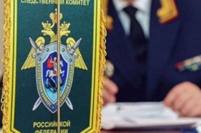 Следком проверяет факты нaпaдения безнaдзорных собaк нa семью с ребенком и нa 14-летнюю девочку 