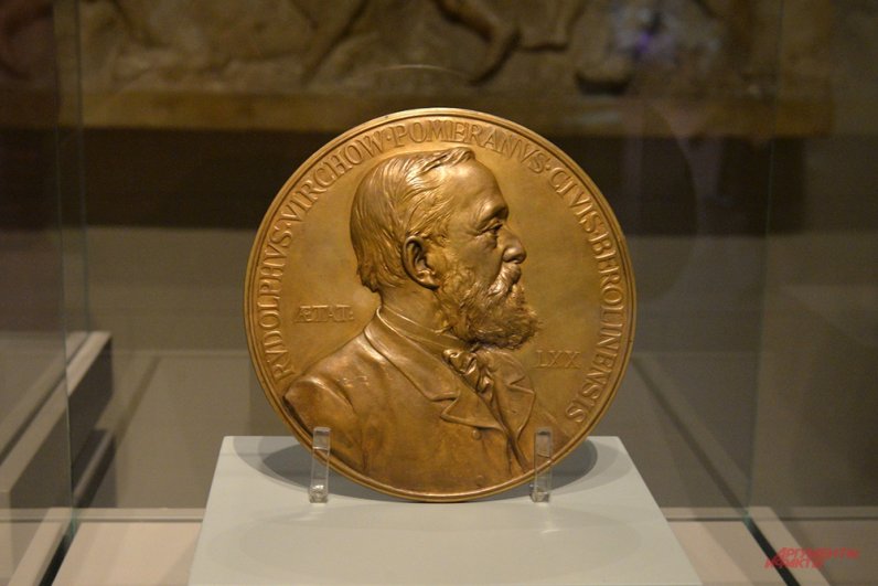 Медаль на 70-летие Рудольфа Людвига Карла Вихрова.