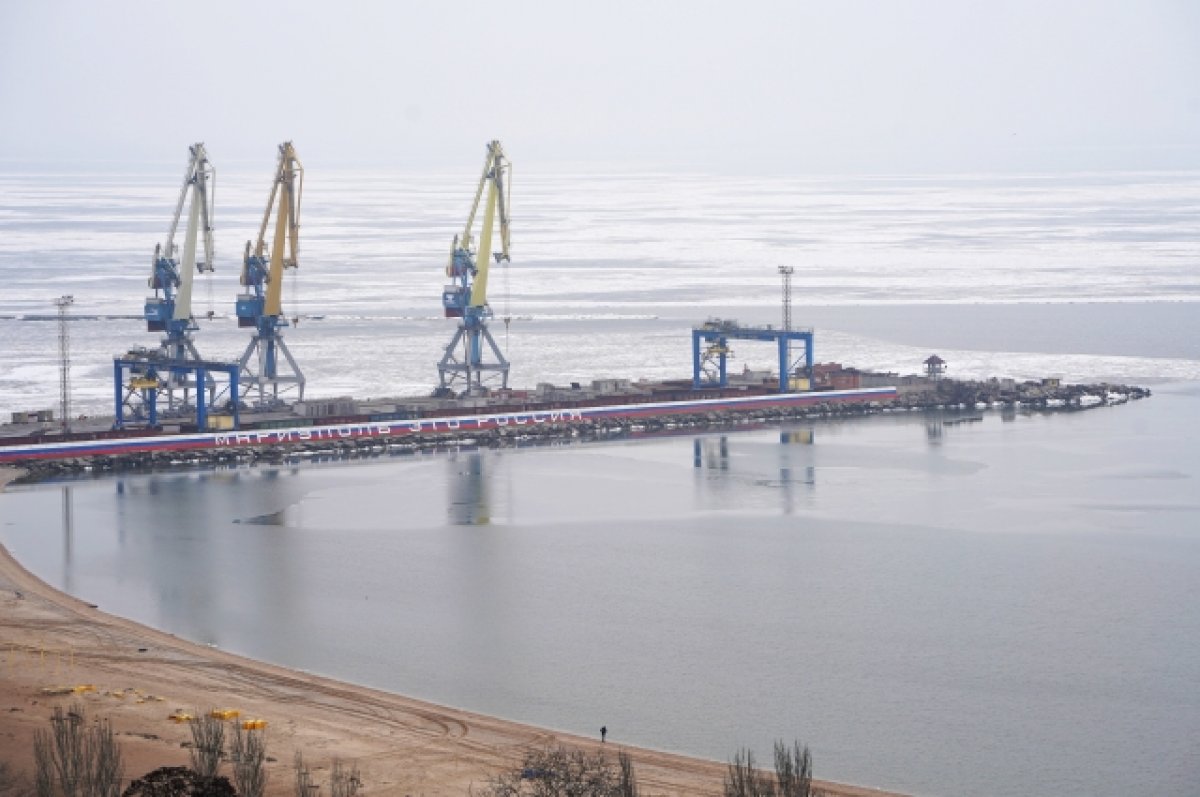 Порт Мариуполя может начать отправку грузов летом 2023 года