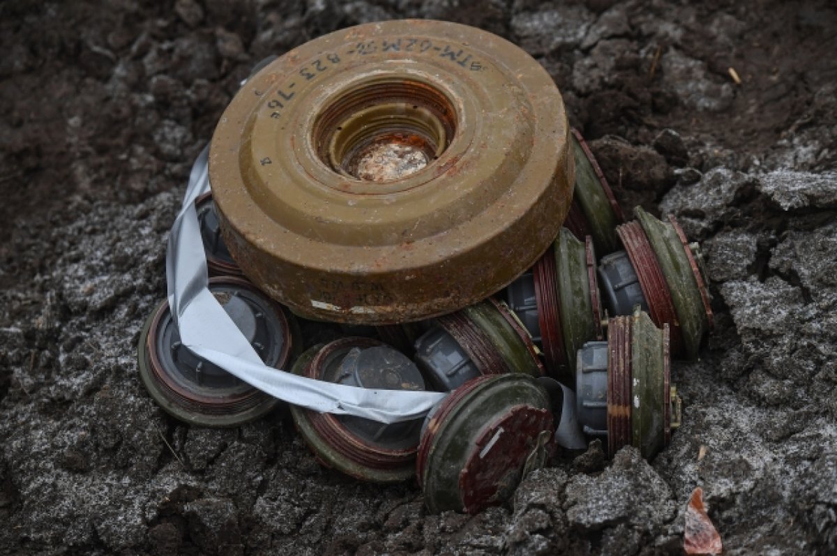 РИА Новости: в Херсонской области дети подорвались на минах ВСУ