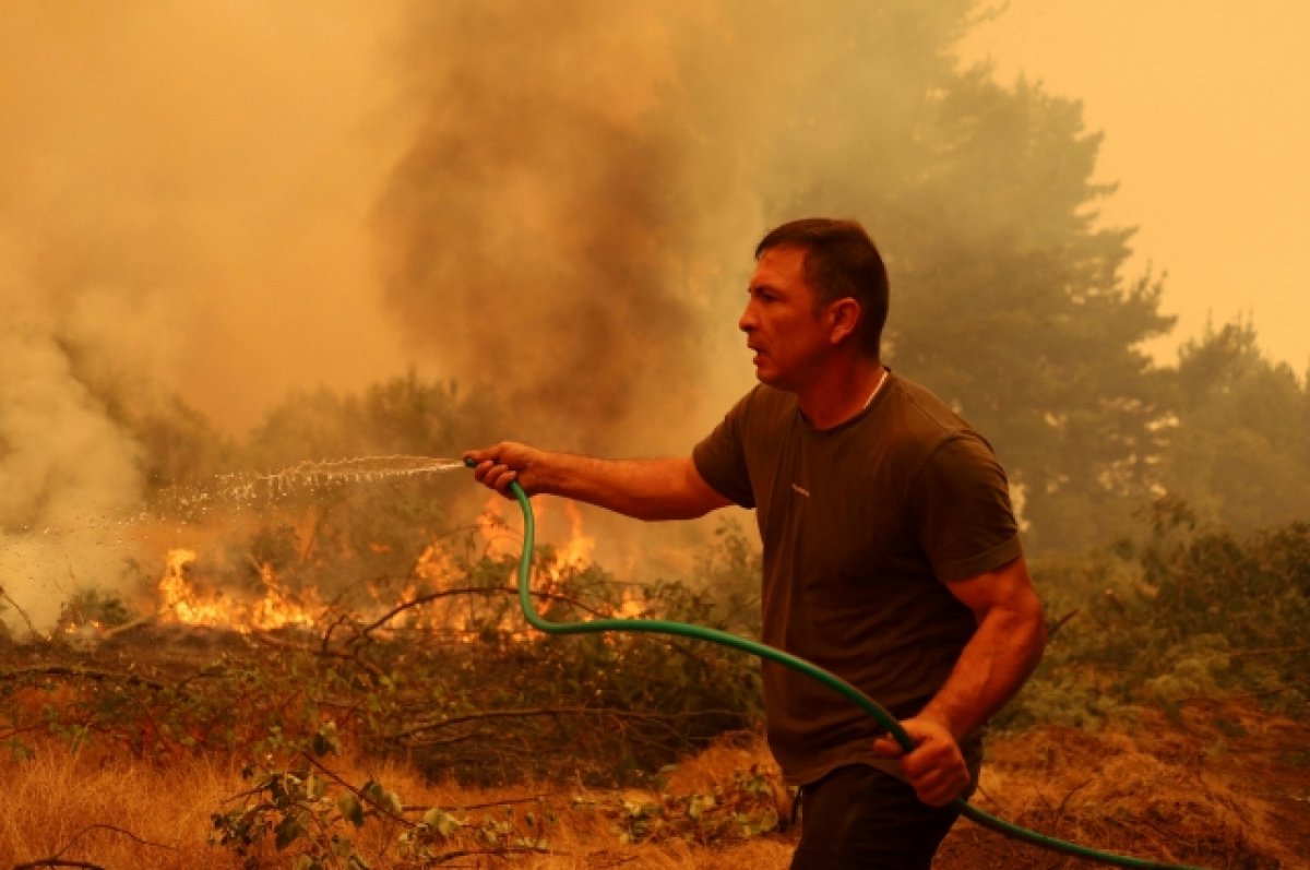 Число погибших от лесных пожаров в Чили увеличилось до 22