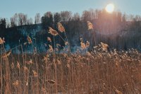 По прогнозам синоптиков, в городе не будет сильных морозов.