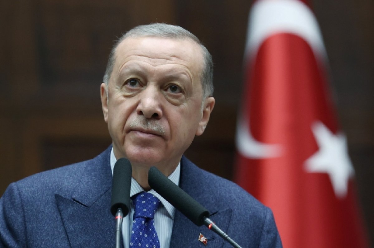 Эрдоган и правительство Турции обсудят членство Швеции и Финляндии в НАТО