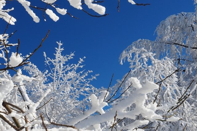 В Сахалинской области в четверг 9 февраля местами небольшой снег. 