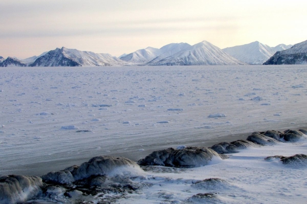 Лауреат премии президента Осадчиев рассказал о ледовой ситуации в Арктике
