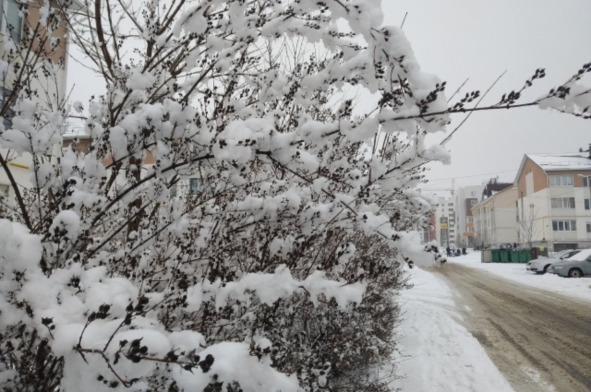 Донская автоинспекция призвала водителей быть осторожными из-за снегопада