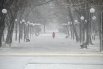 Житель Новороссийска гуляет по пустым улицам.