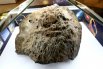 Метеорит активно изучали, в его составе нашли углеродные соединения, которых до этого не встречалось нигде на Земле.
