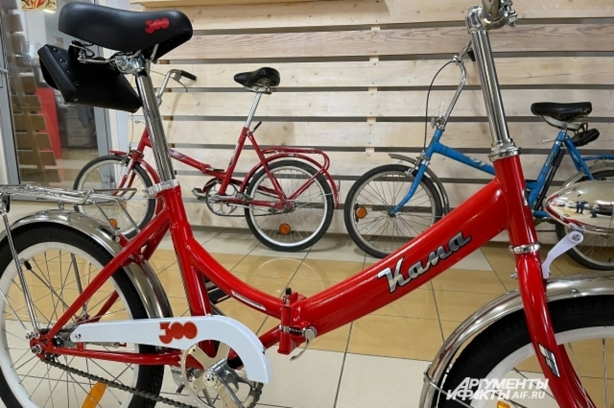 «Мама, купи велосипед»: сделайте своему ребёнку подарок к концу учебного года