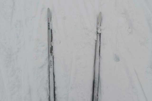 18 февраля в парке «Прибрежный» пройдёт XLI открытая Всероссийская массовая лыжная гонка «Лыжня России» 2023. 