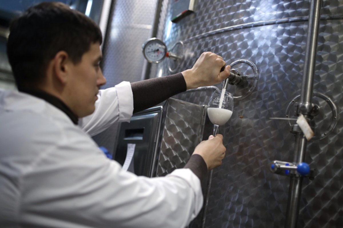 Кадровый резерв. Виноделы Кубани готовят специалистов вместе с вузами