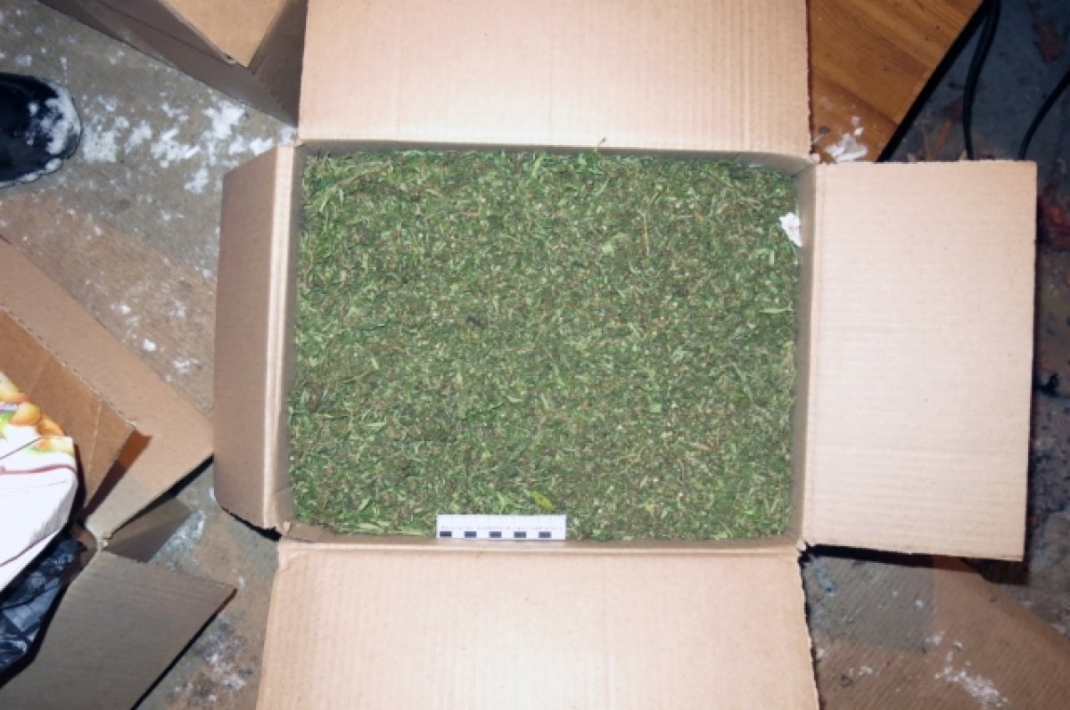 У жителя Горно-Алтайска нашли 18 килограммов марихуаны