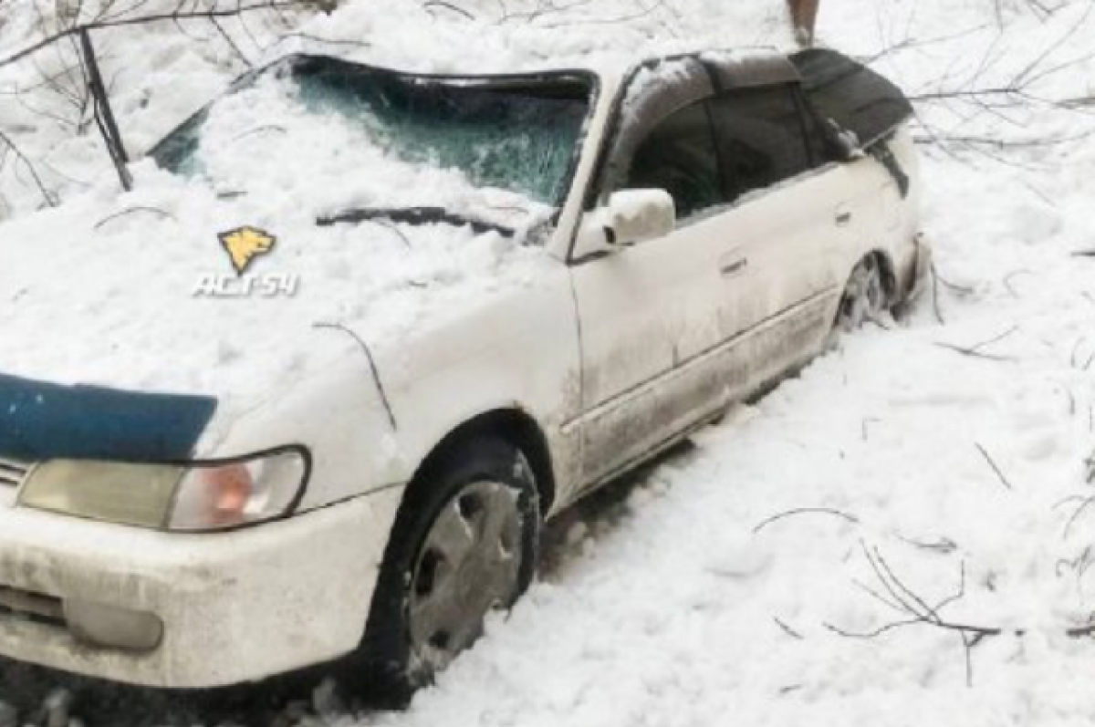 В Новосибирске сошедший с крыши снег повредил припаркованные автомобили |  АиФ Новосибирск