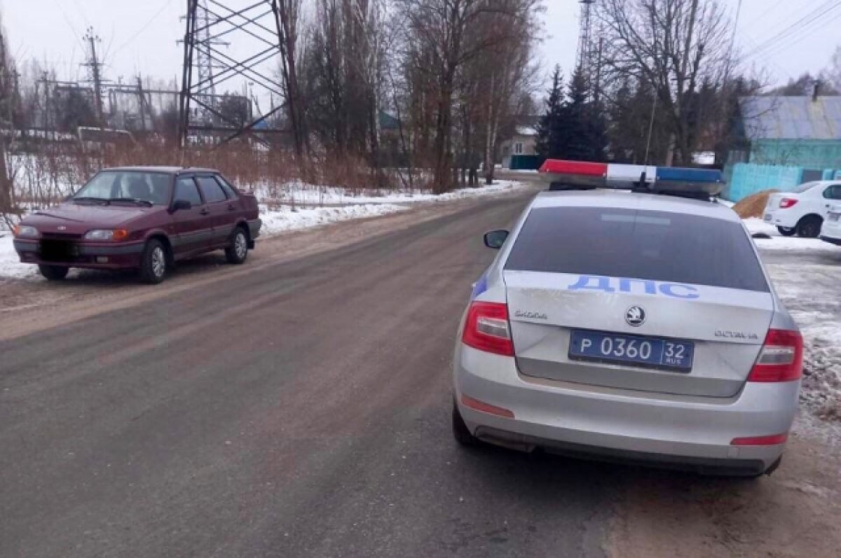 Новозыбковские автоинспекторы высадили из-за руля 33-летнюю пьяную женщину