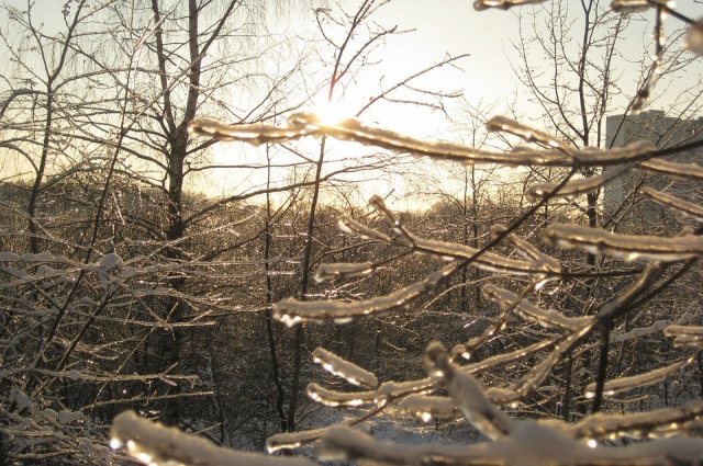 В Оренбуржье ожидается ледяной дождь