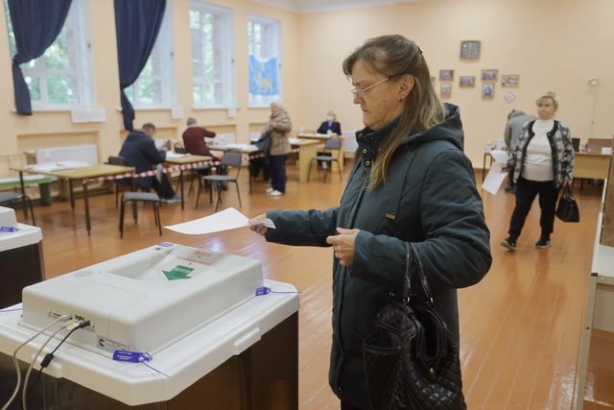 Выборы 14. Нарушения на выборах. Люди на выборах. Явка на выборах. Выборы губернатора Владимирской области.