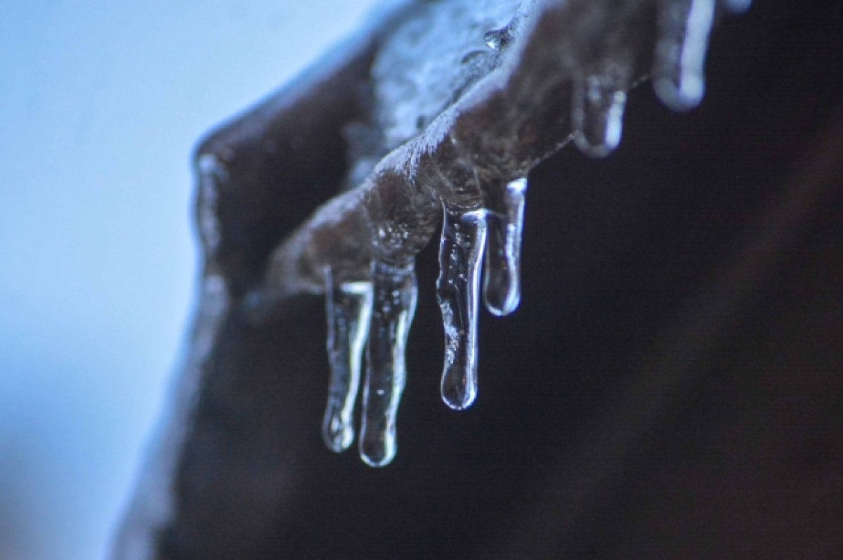 В последний день зимы на Брянщине разброс температур составит 14 градусов
