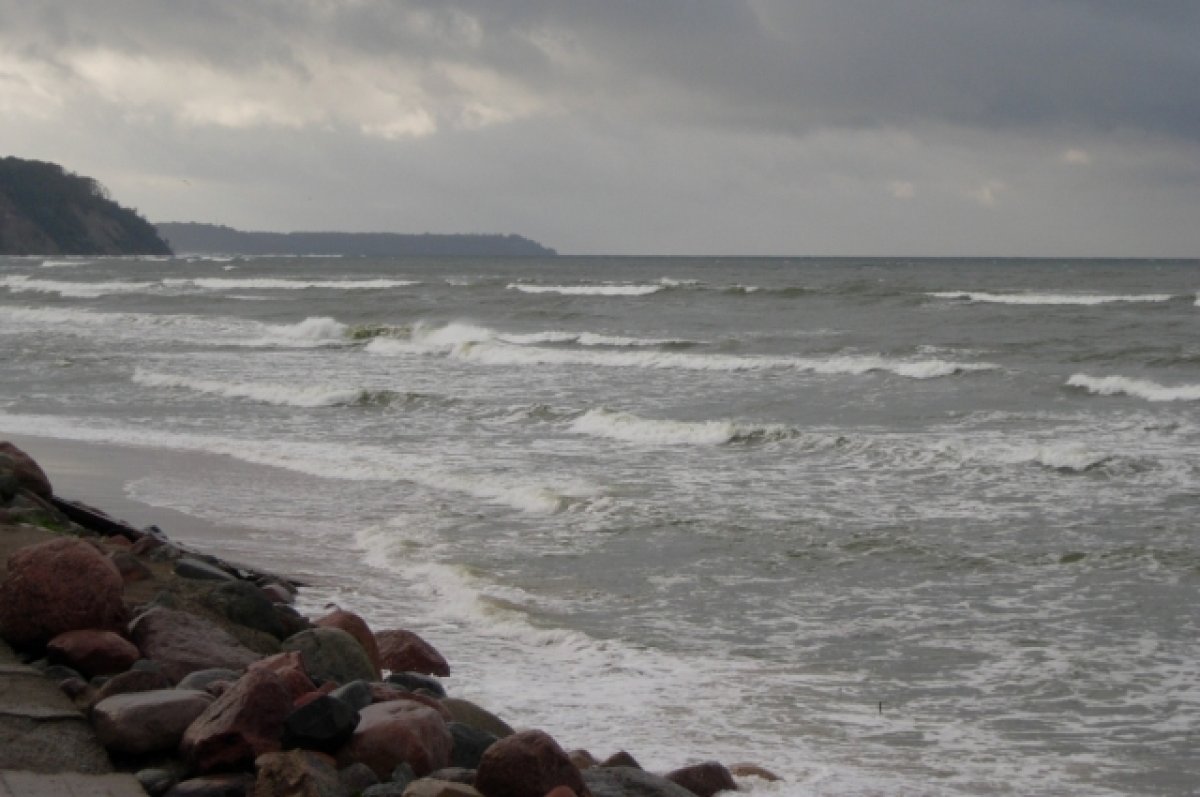 DR: подрыв «Северных потоков» привел к загрязнению Балтийского моря