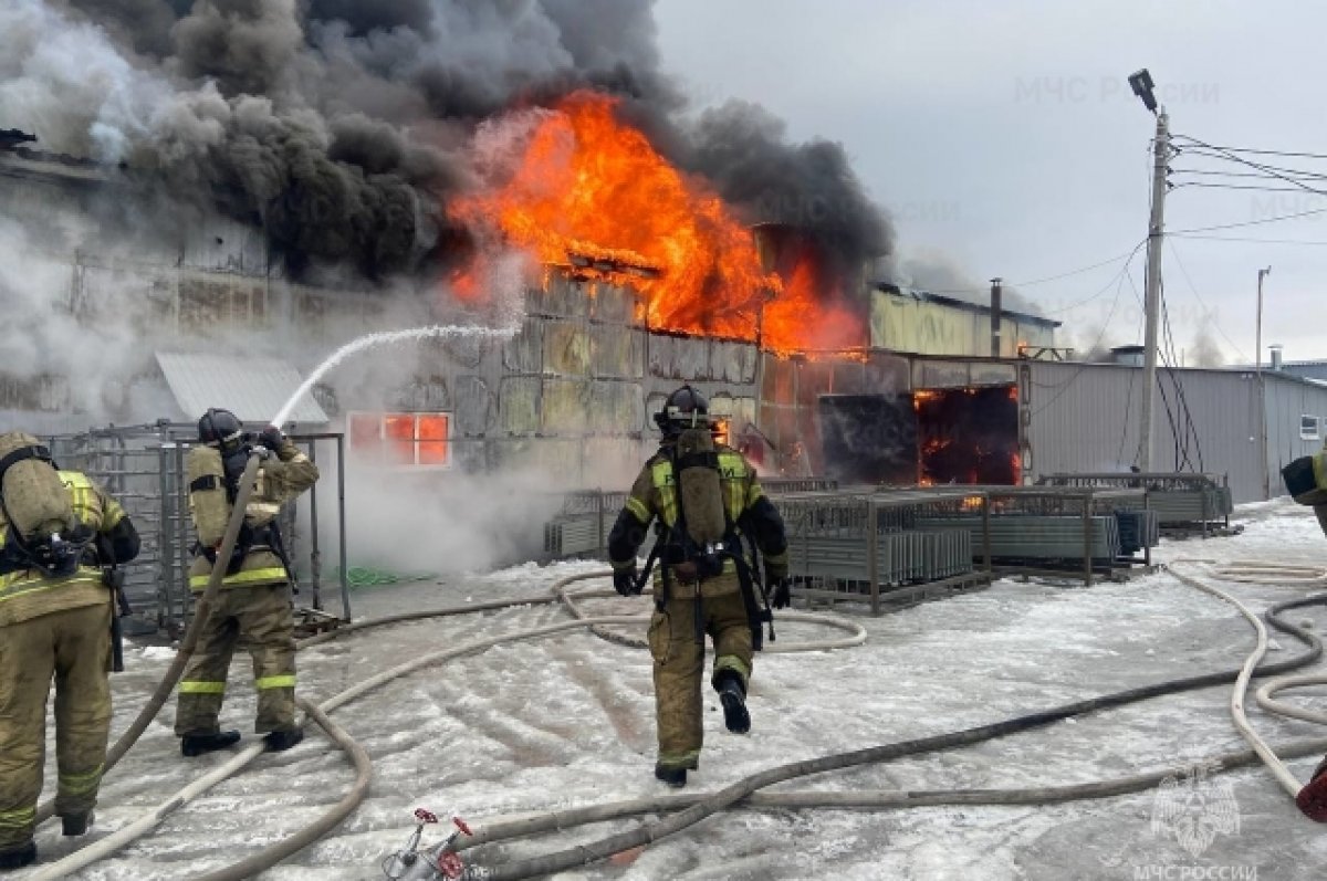 В Ульяновске произошел пожар в лакокрасочном цехе автосервиса