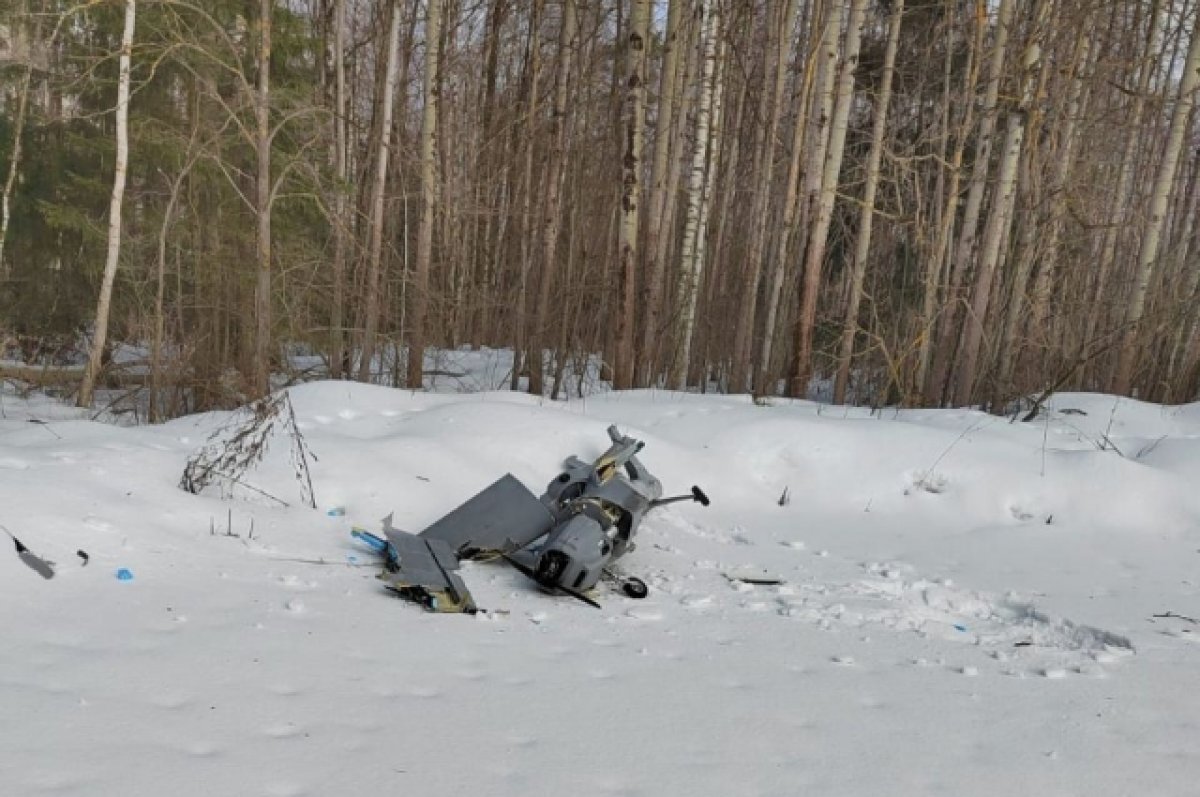 Эксперт: упавший у Коломны БПЛА мог быть украинским дроном-камикадзе
