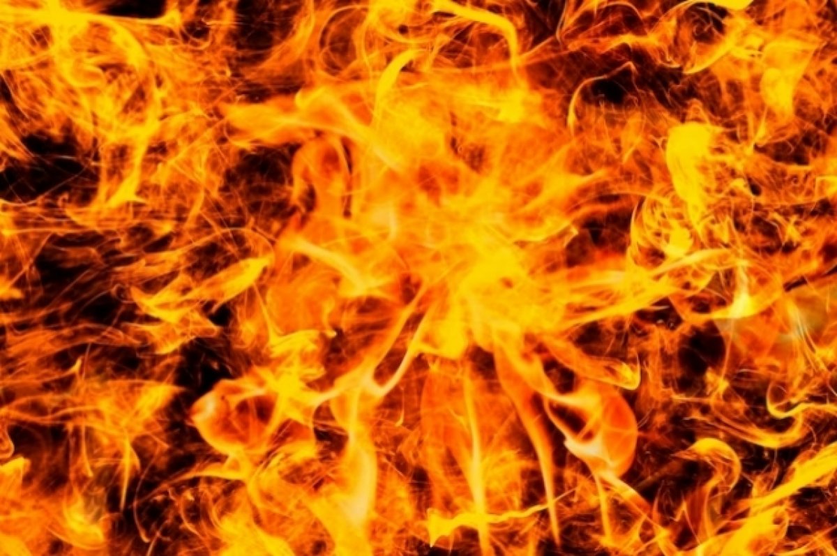 Продавец устроил поджог в магазине в Химках и едва не сгорел заживо