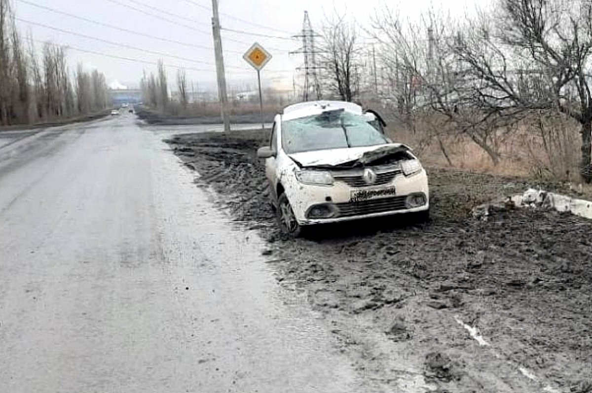 На Дону водитель Renault Logan врезался в опору ЛЭП, чтобы спасти собаку