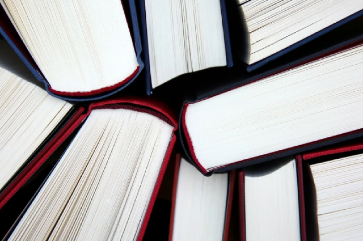 ТАСС: Донбасс за год получил из РФ больше книг, чем за все время от Украины