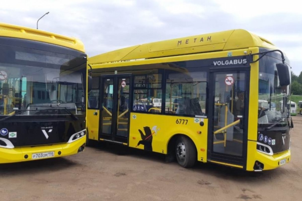 Новые автобусы 2024 ярославль. Современные автобусы. Автобус желтый. Новые автобусы. Автобусы Ярославль.
