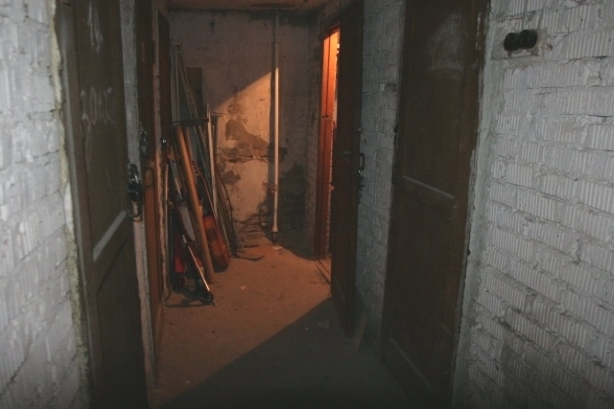 Детей из Новоалтайска, обнаруженных в подвале, поместили в центр помощи